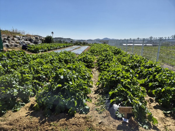 84316f10596f1efd695c64f7ad180996_1762150